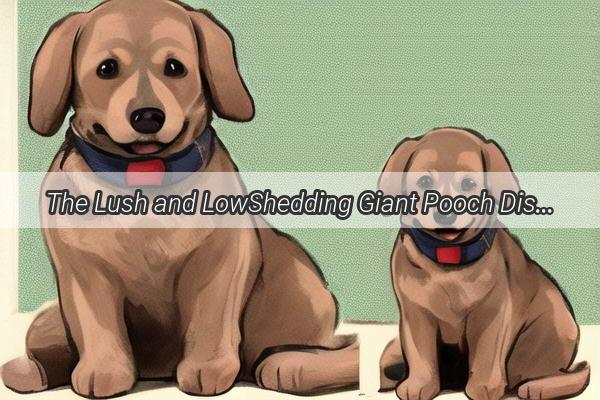 The Lush and LowShedding Giant Pooch Discover the Fluffy Friends That Leave Less Mess